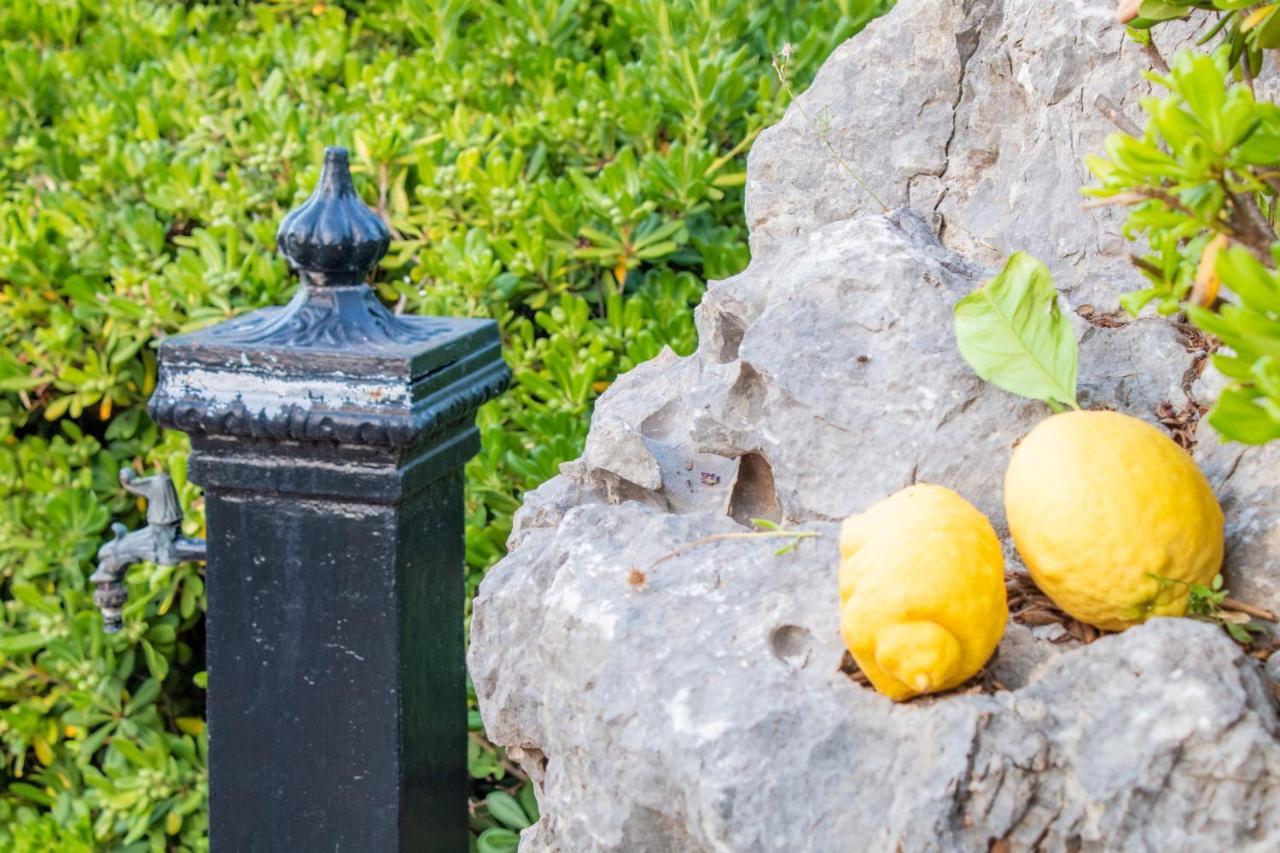 Villino Agave Βίλα Σαν Βίτο λο Κάπο Εξωτερικό φωτογραφία