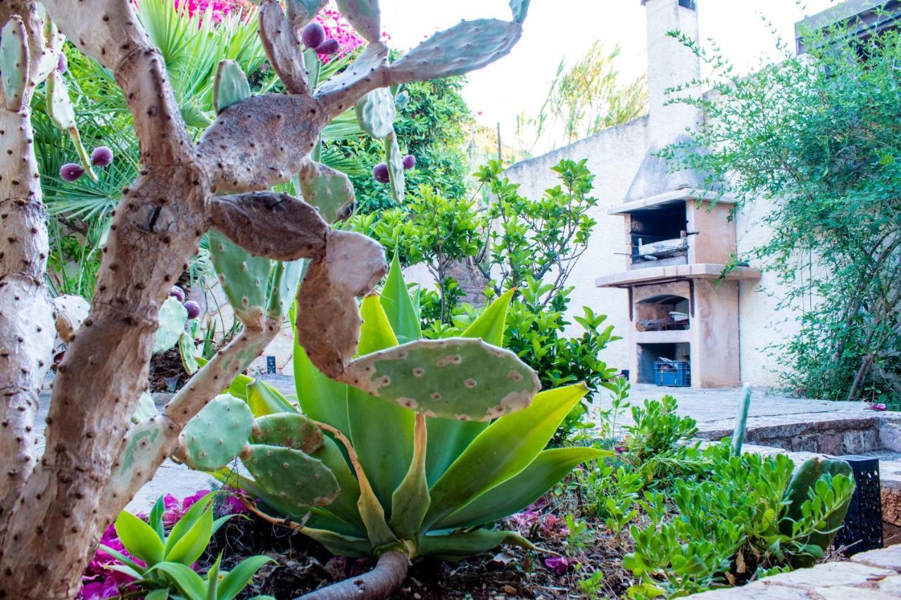 Villino Agave Βίλα Σαν Βίτο λο Κάπο Εξωτερικό φωτογραφία